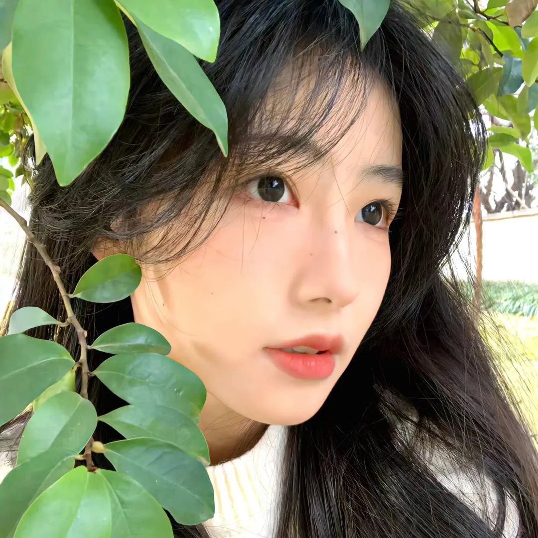 无名的恋歌